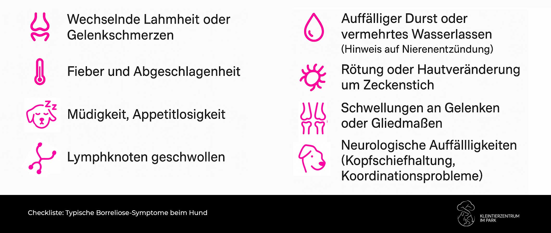 Checkliste über Symptome zur Borreliose beim Hund