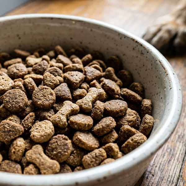 Ein Napf aus Keramik, gefüllt mit Trockenfutter Leckerlies für Hunde