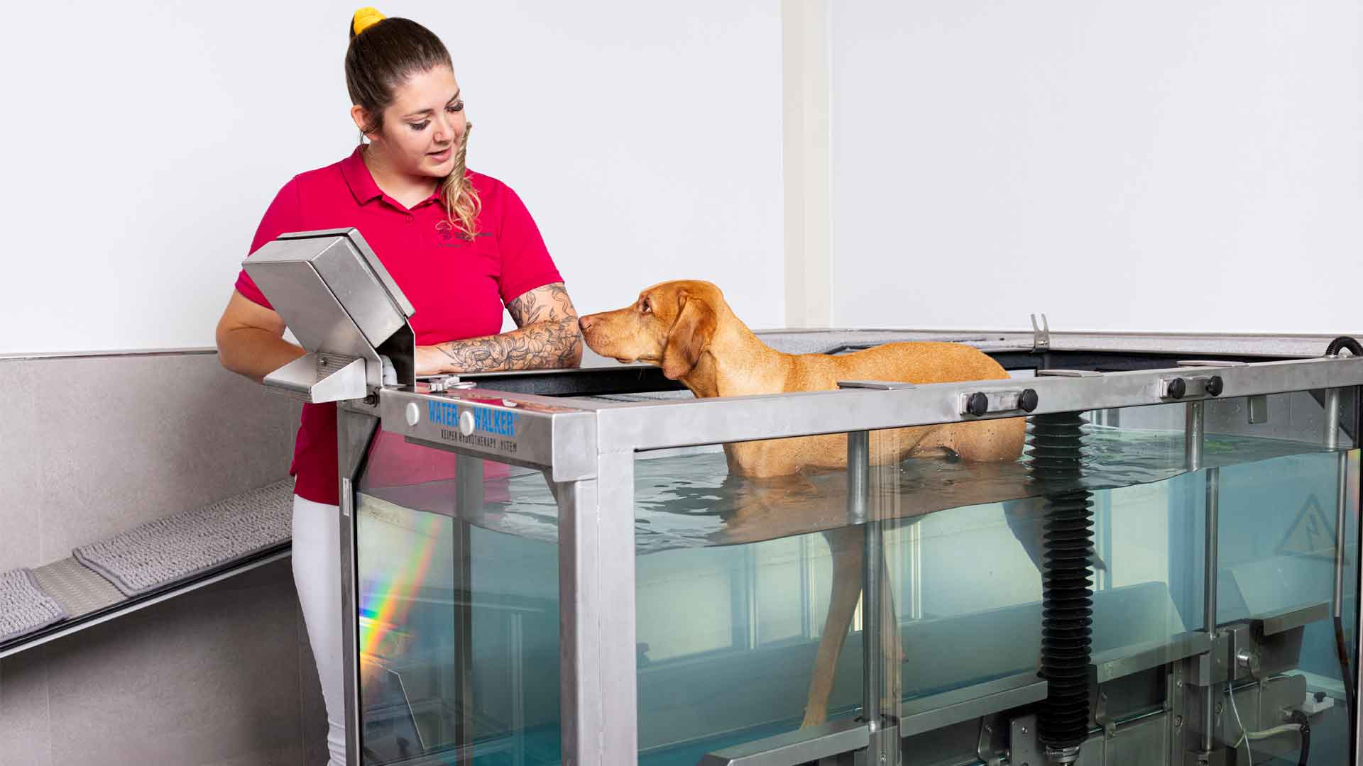 Aquatrainer im Kleintierzentrum mit TFA